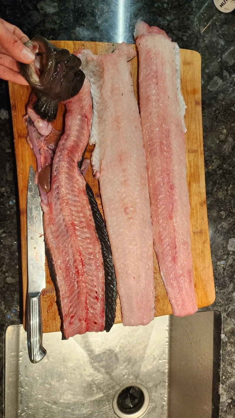 충격적으로 못생겼지만 맛있는 생선 -3