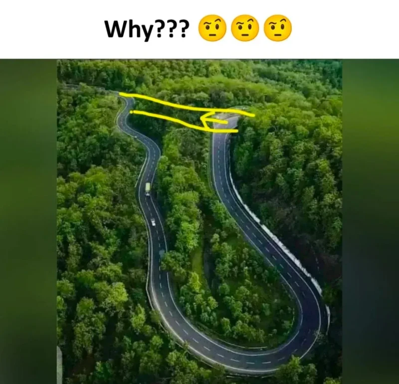 외국에서 유행했던 Why 밈