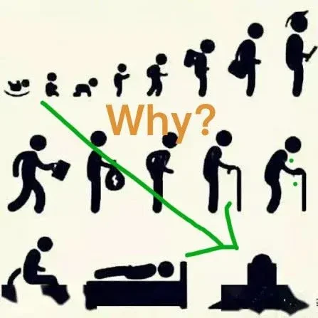 외국에서 유행했던 Why 밈-3