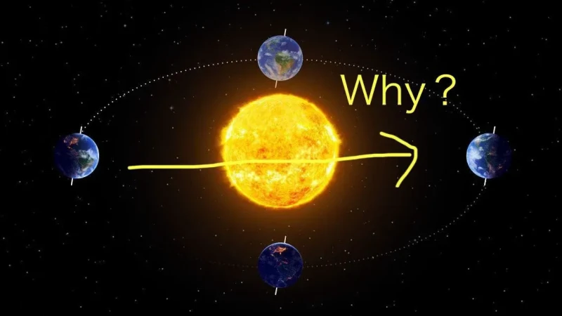 외국에서 유행했던 Why 밈-4