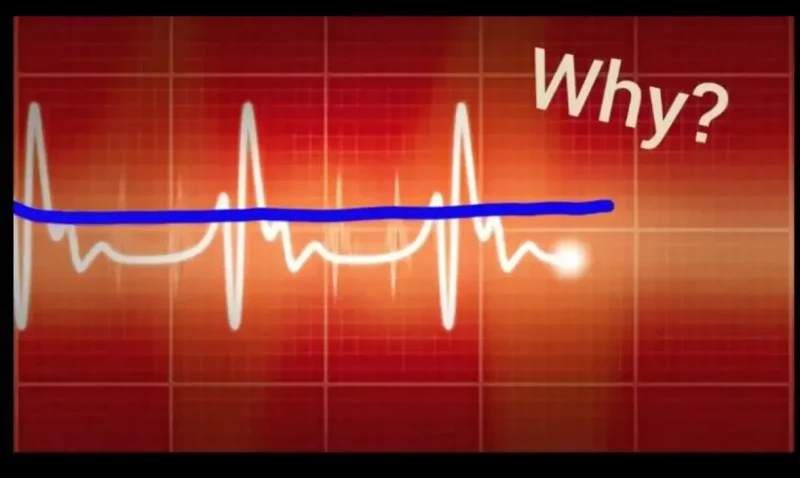 외국에서 유행했던 Why 밈-5