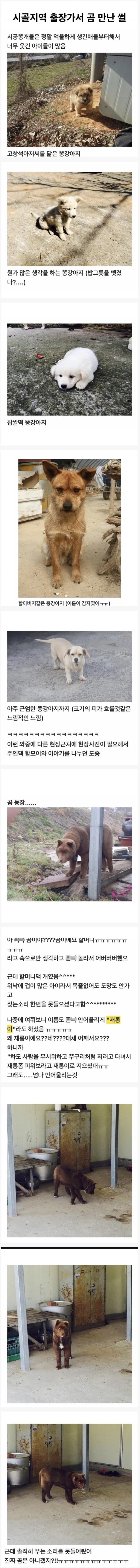 시골 지역 출장가서 곰 만난 썰