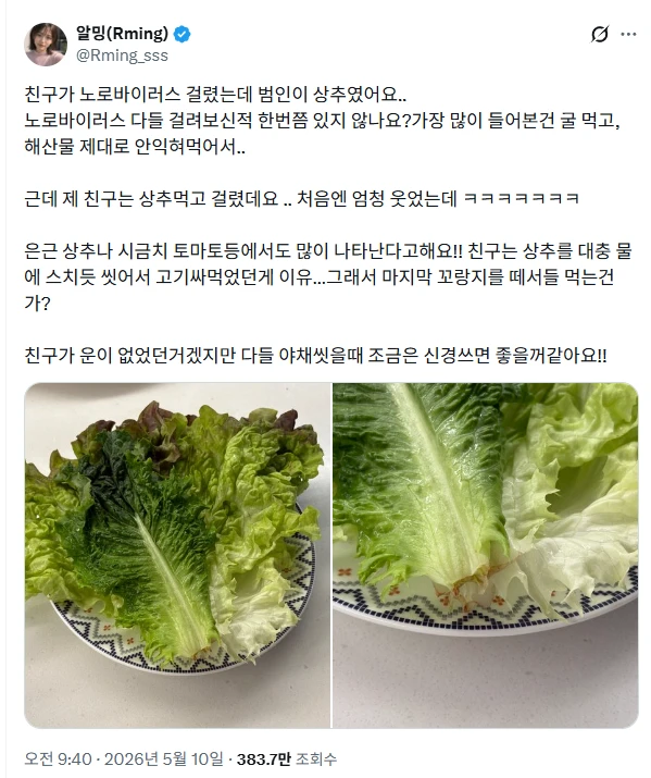 상추 먹다가 노로바이러스 걸렸다는 사람 