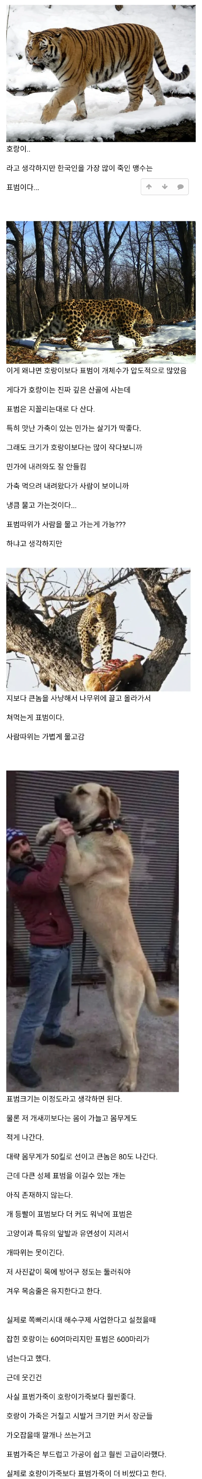 의외로 한국인을 가장 많이 죽인 맹수... 