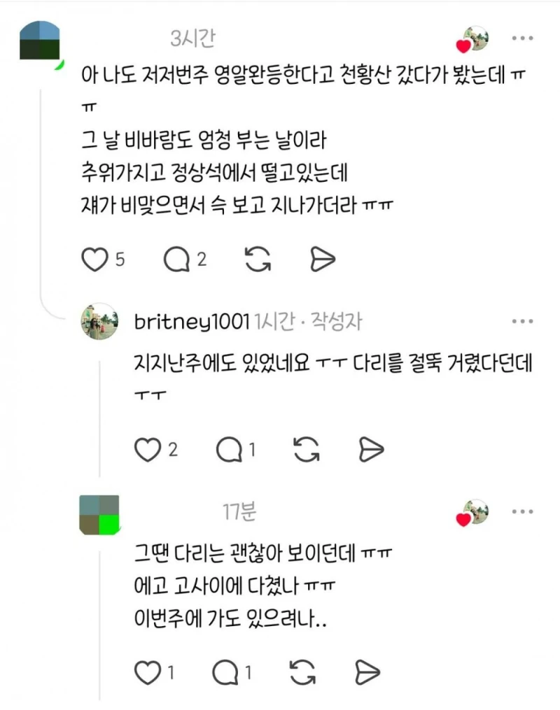 천황산 꼭대기에 강아지 혼자 있다고함-5