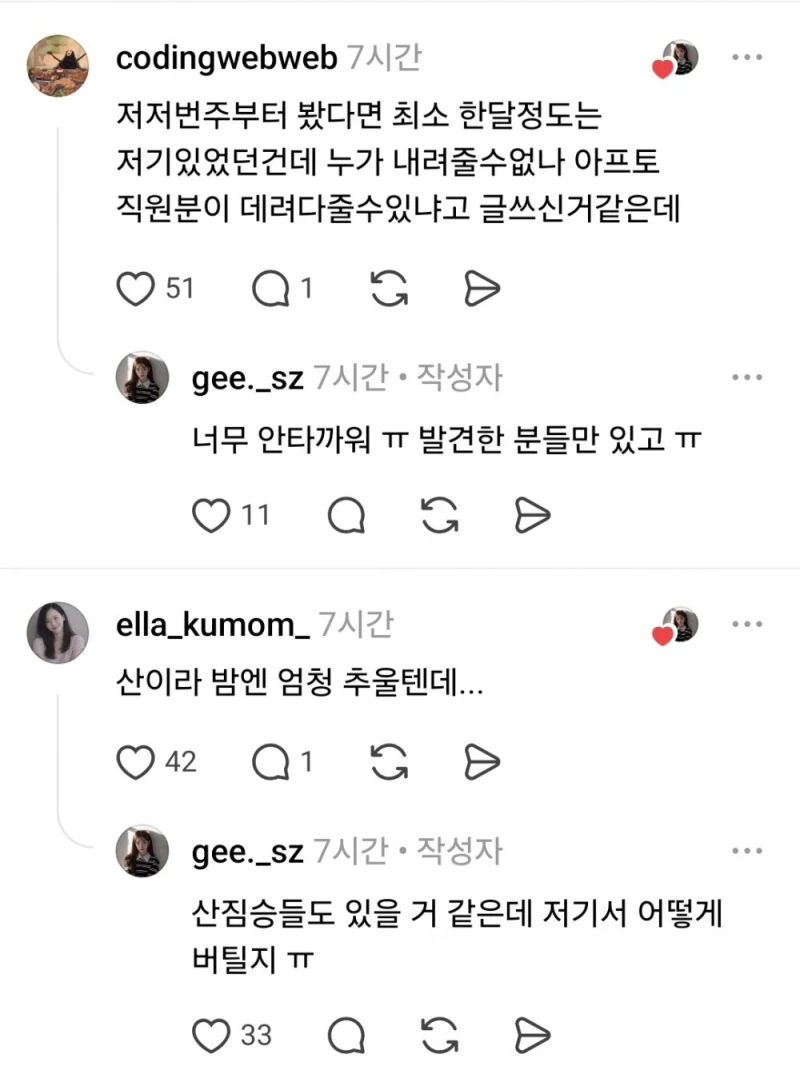 천황산 꼭대기에 강아지 혼자 있다고함-6