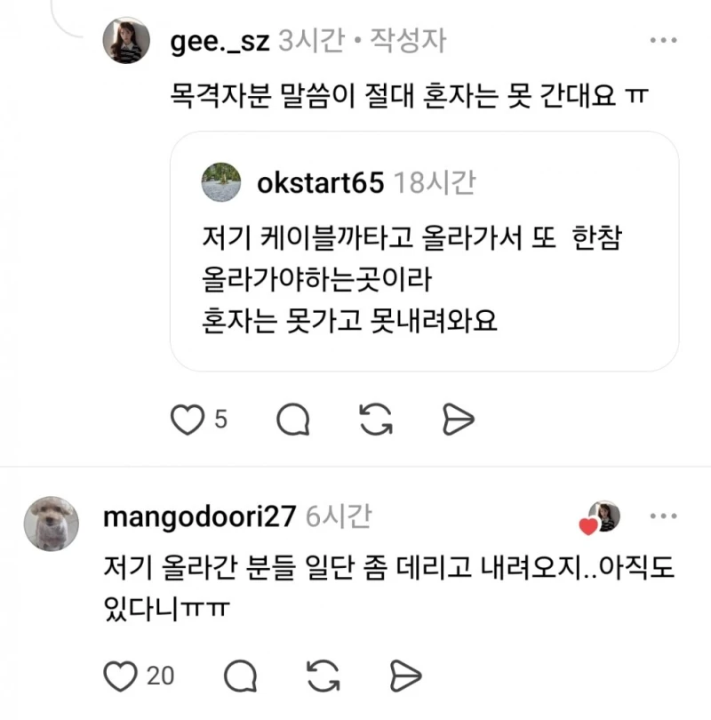 천황산 꼭대기에 강아지 혼자 있다고함-7