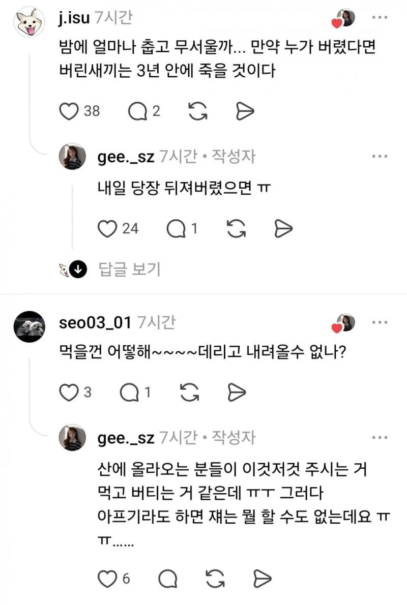 천황산 꼭대기에 강아지 혼자 있다고함-8