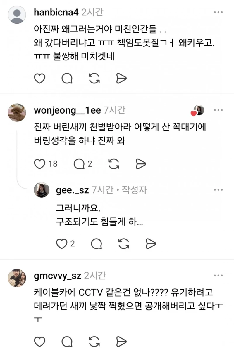 천황산 꼭대기에 강아지 혼자 있다고함-9