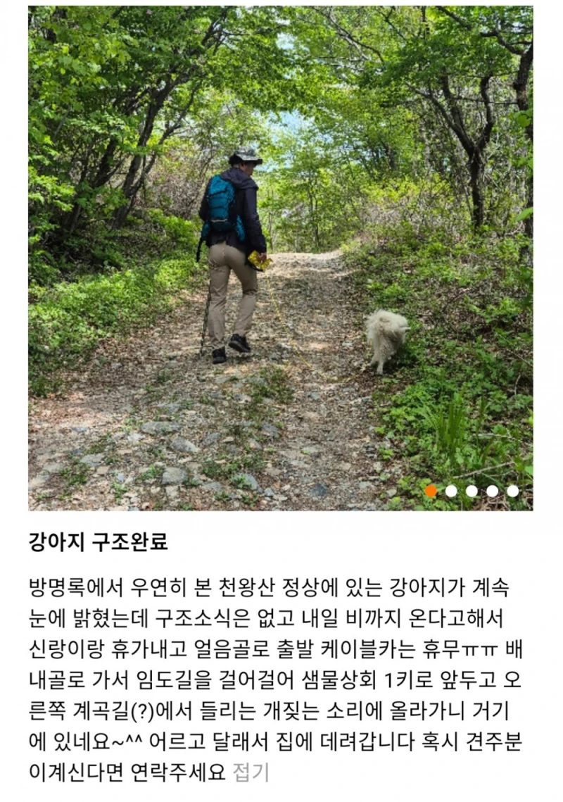 천황산 꼭대기에 강아지 혼자 있다고함-10