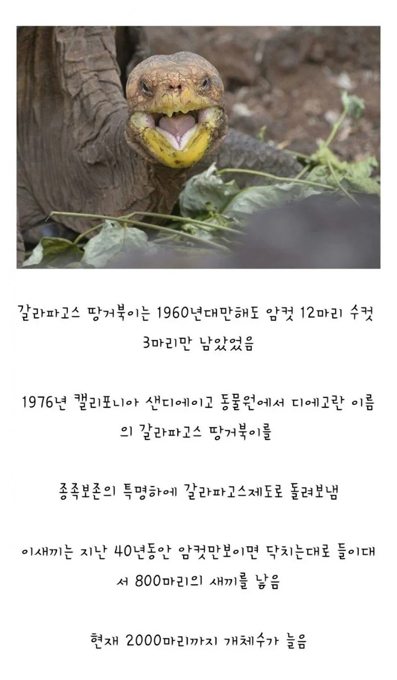전설의 ㅅㅅ머신 활약상 레전드