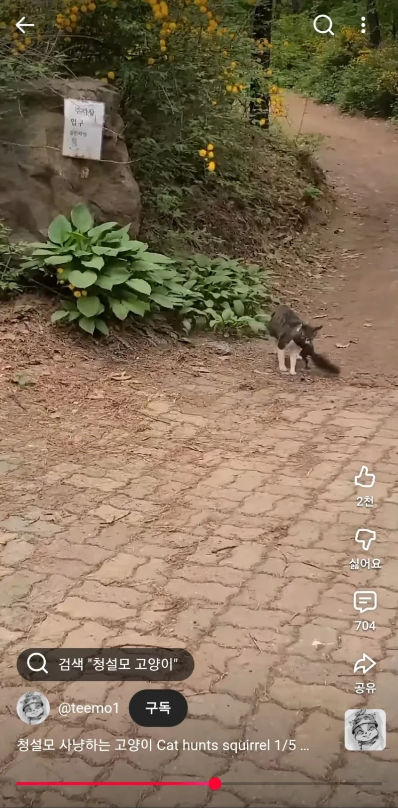 요즘 다람이랑 청설모가 잘안보이는 이유 -2