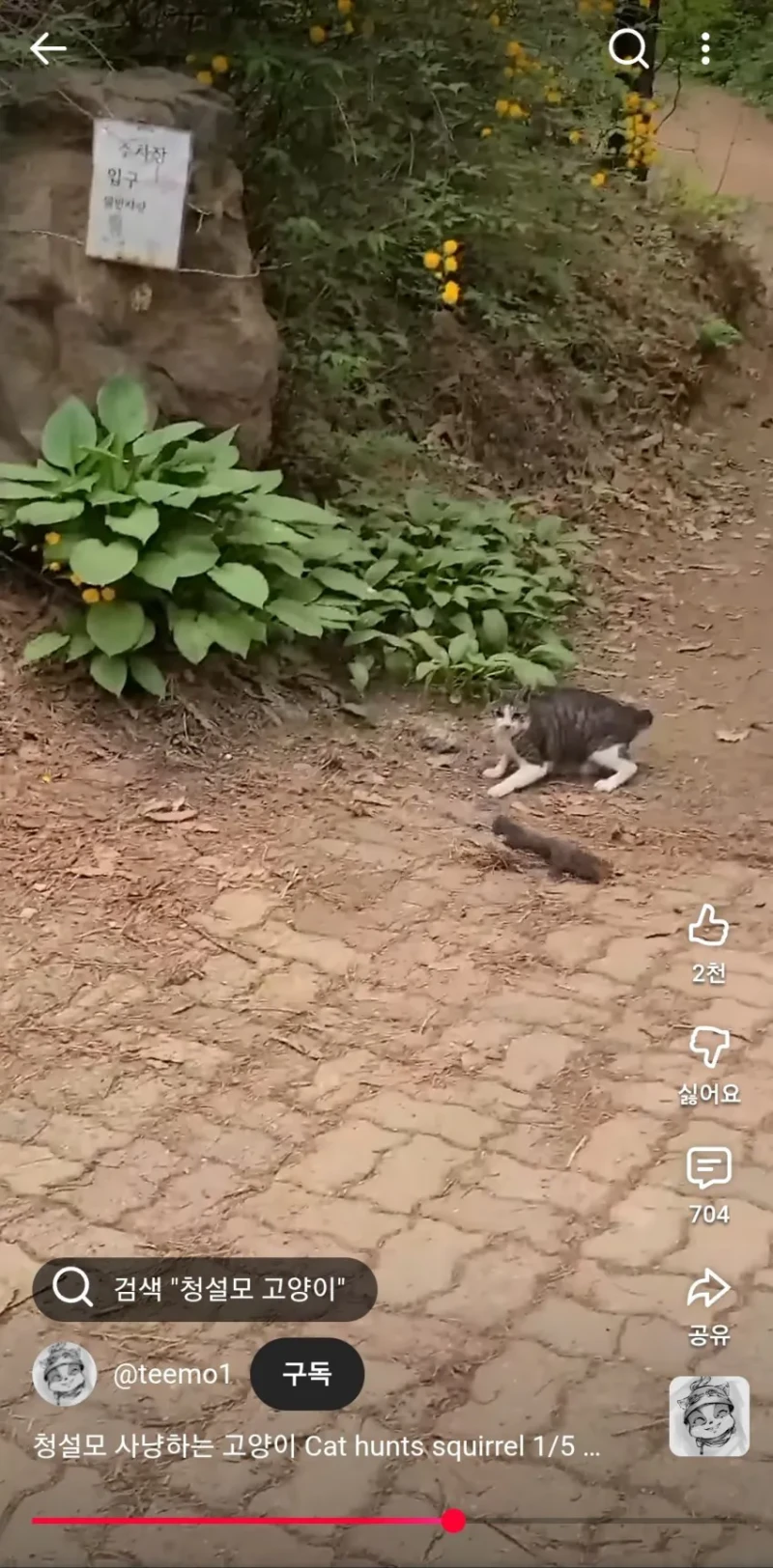 요즘 다람이랑 청설모가 잘안보이는 이유 -3