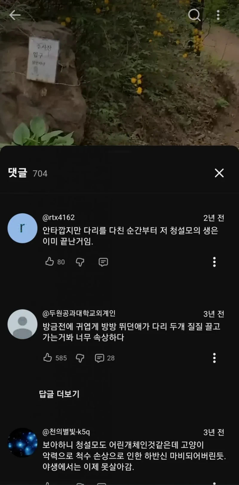 요즘 다람이랑 청설모가 잘안보이는 이유 -4