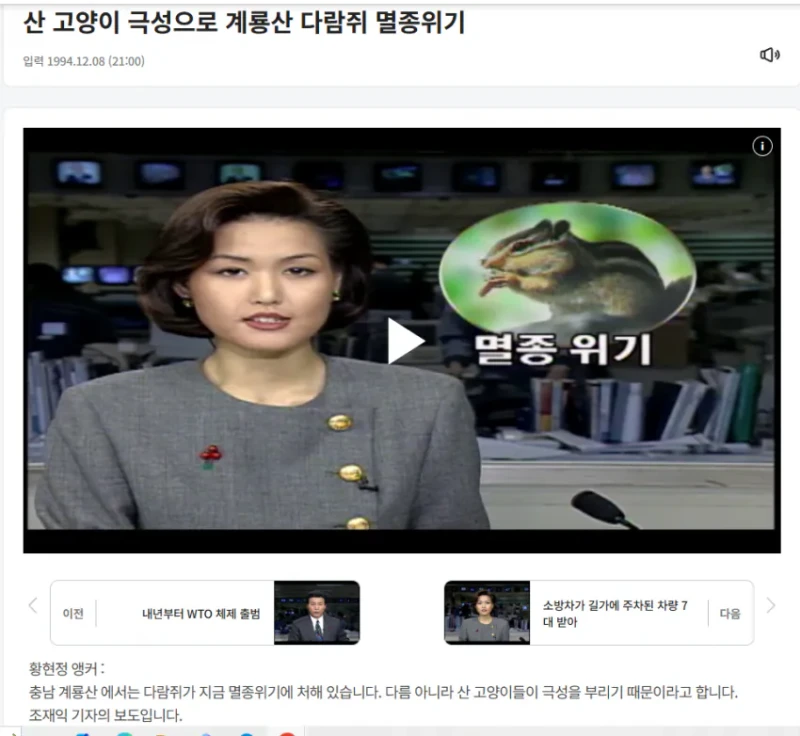요즘 다람이랑 청설모가 잘안보이는 이유 -5