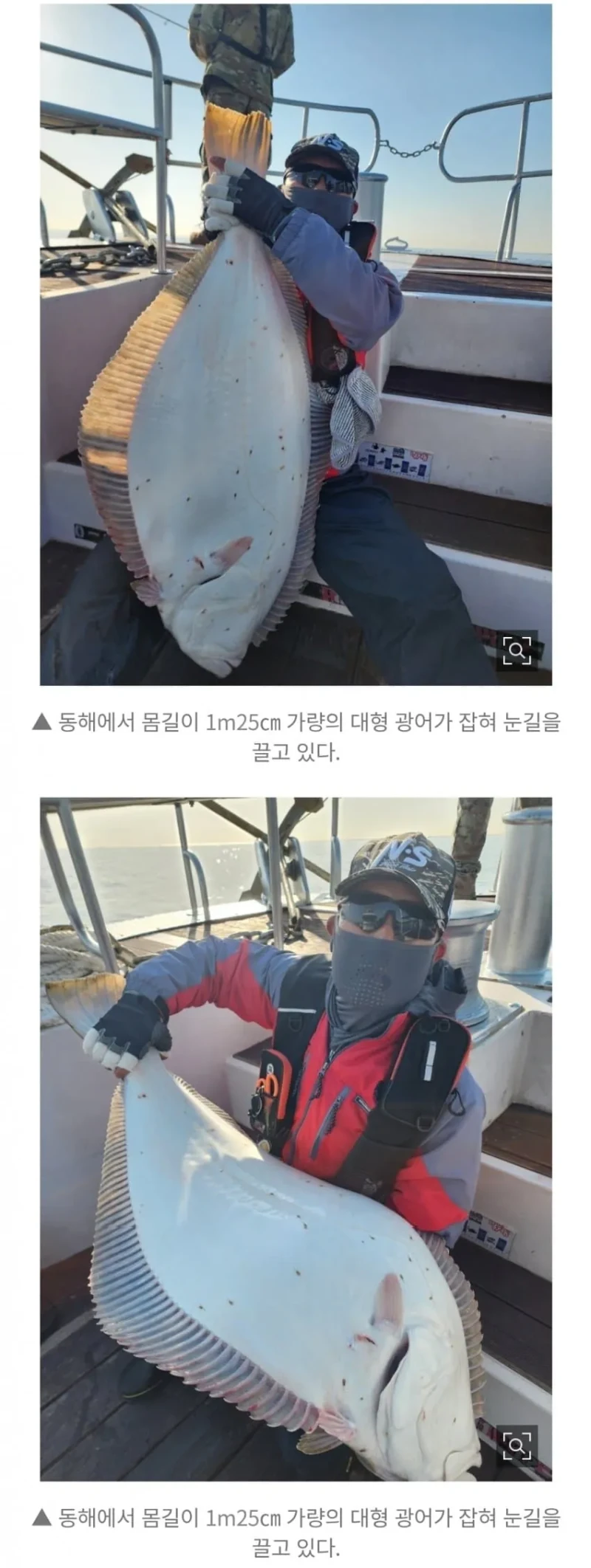 동해서 125cm '초대형 광어' 낚였다-2