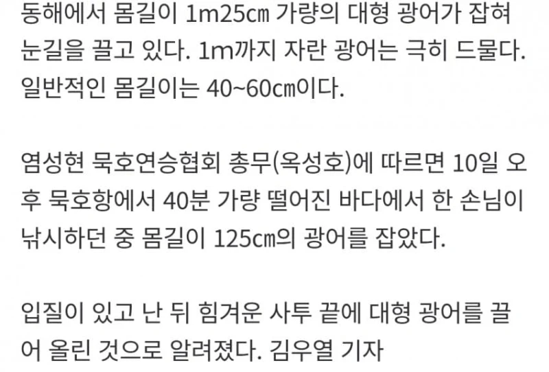 동해서 125cm '초대형 광어' 낚였다-3