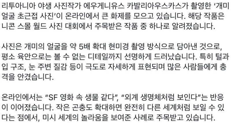 현미경으로 찍은 개미 얼굴 ㄷㄷ-3