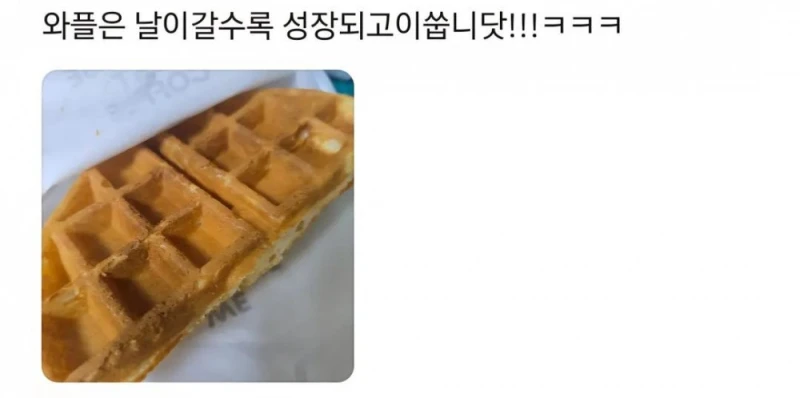 단골 지점을 잃기 싫었던 고객-13