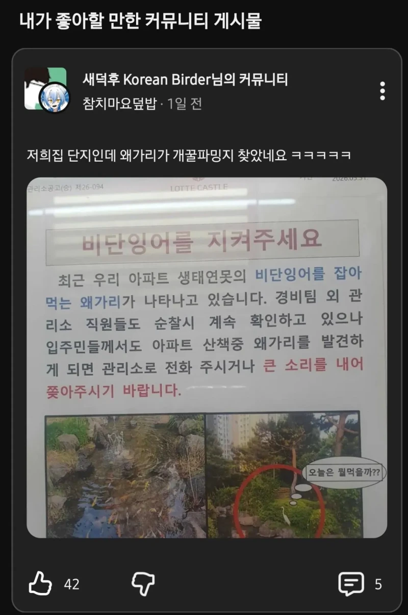 개꿀 파밍지 찾은 왜가리 ㅋㅋㅋ