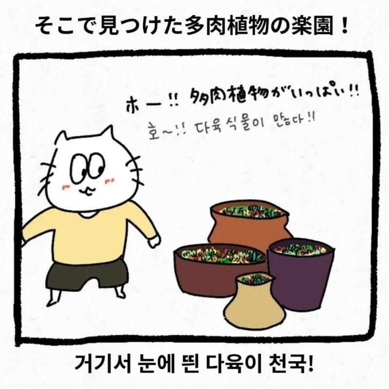 한국 시댁에 와서 이것저것 가져가는 며느리-2
