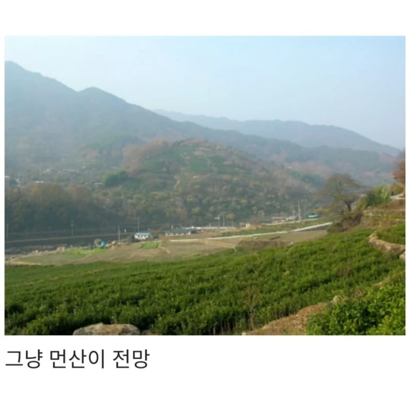진짜 찐 시골 빼박 특징이라고 함-5