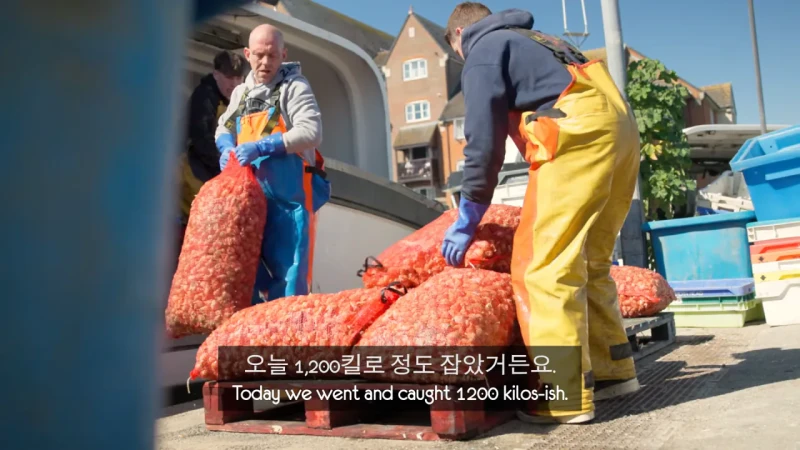 한국 골뱅이무침 먹은 영국 어부들 반응-2