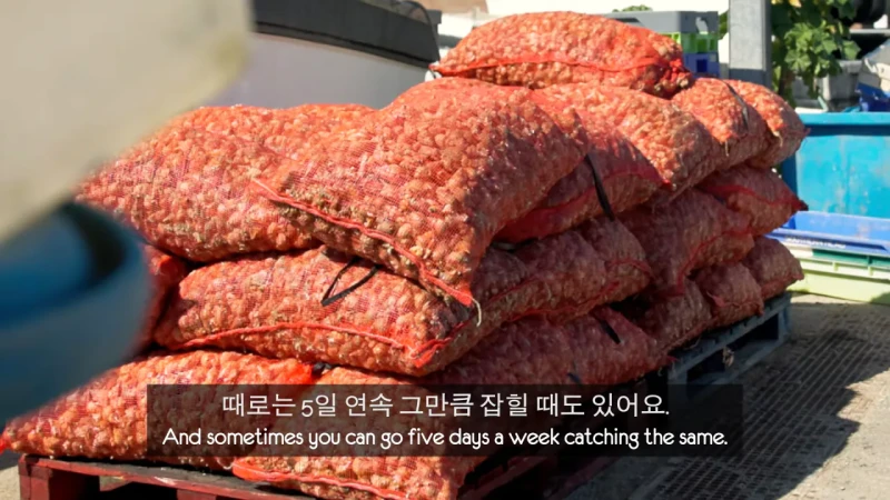 한국 골뱅이무침 먹은 영국 어부들 반응-3