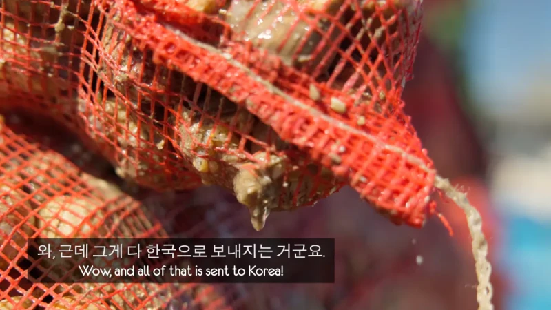한국 골뱅이무침 먹은 영국 어부들 반응-4