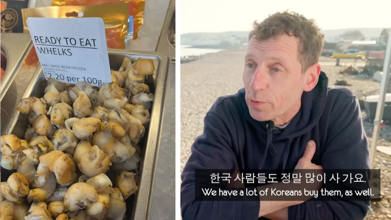 한국 골뱅이무침 먹은 영국 어부들 반응-27