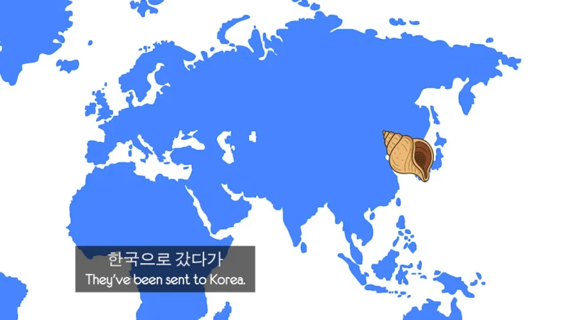 한국 골뱅이무침 먹은 영국 어부들 반응-58