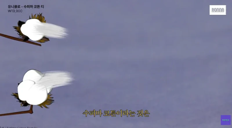 패션 디자이너가 유니클로 티셔츠 리뷰하다 감탄한 이유-30