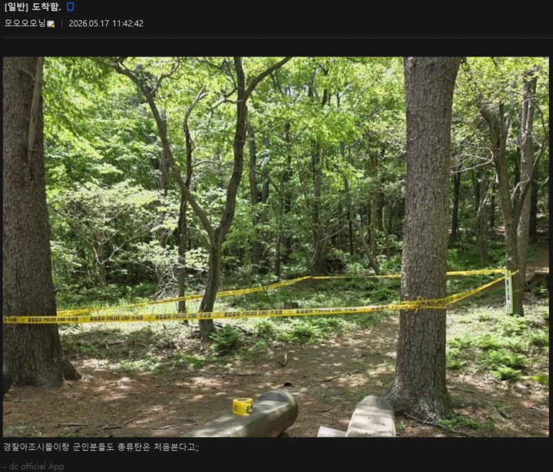 실시간 등산하다 불발탄 주운 군갤럼 -2