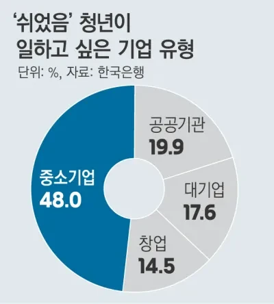 '2030 쉬었음 청년' 대기업만 찾아? 한은 조사결과 아냐-7