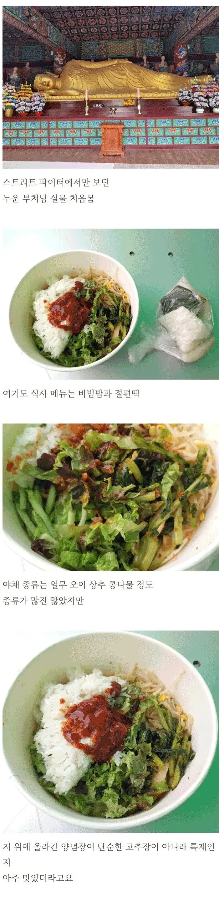 석가탄신일에 절가서 비빔밥 얻어먹은 사람-11