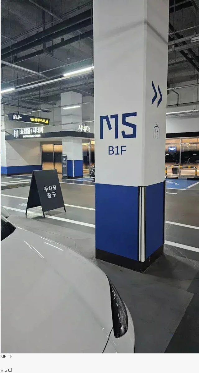 커뮤에서 논란중인 주차장 글씨체