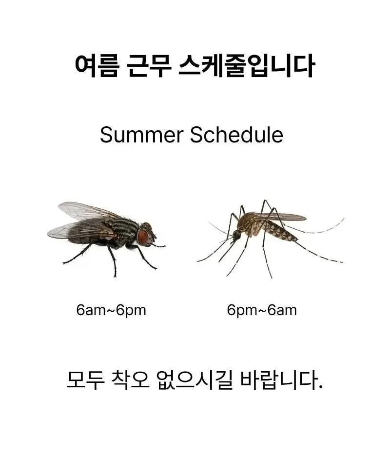 하절기 인사과에서 알립니다 