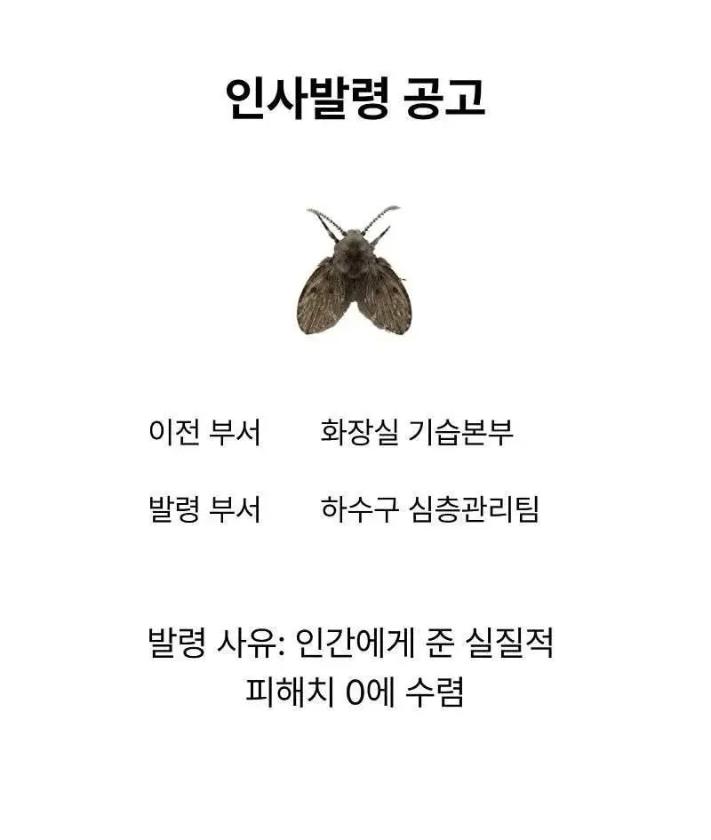 하절기 인사과에서 알립니다 -2