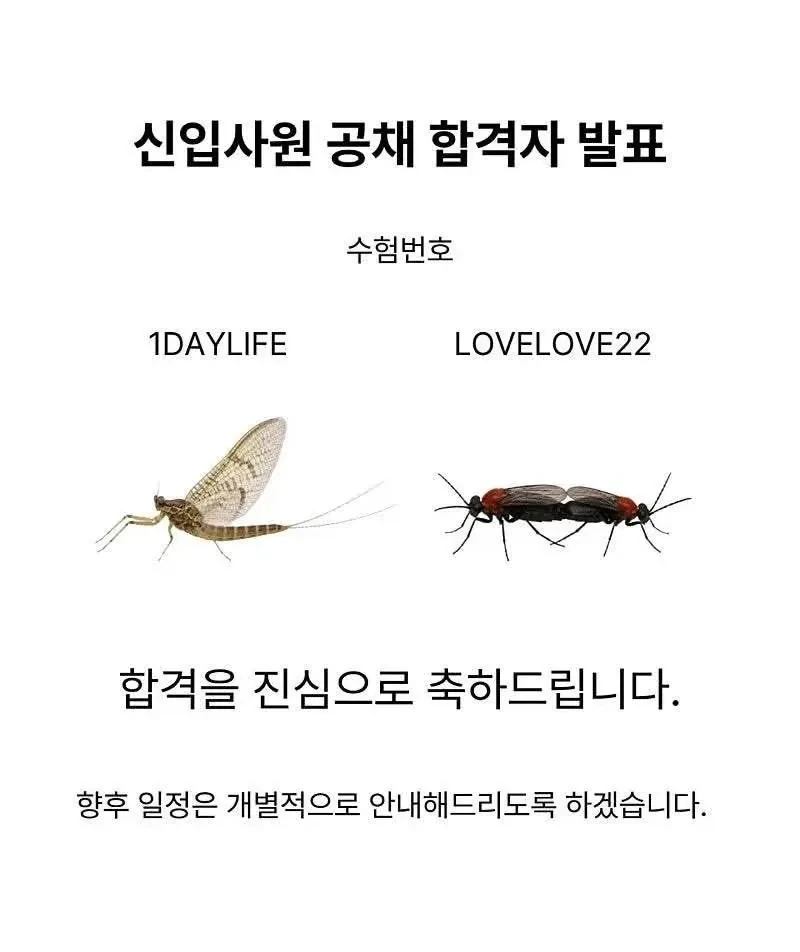 하절기 인사과에서 알립니다 -3