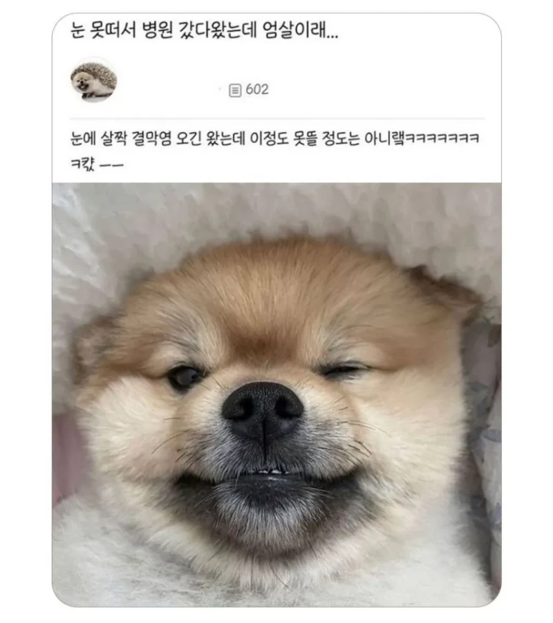 눈 못떠서 병원갔는데 엄살이래