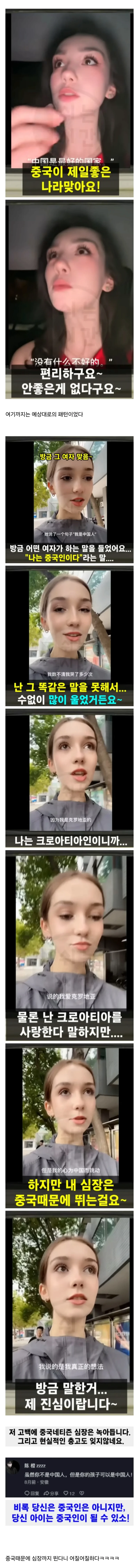우리나라 국뽕 외국인은 국뽕도 아닌 중뽕 외국인