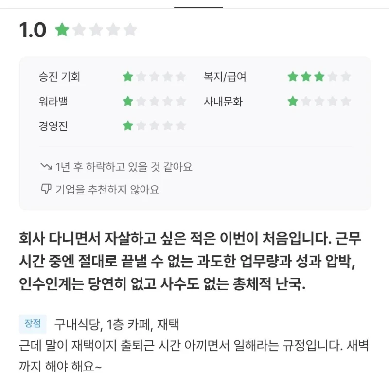 자살하고 싶었다는 무신사 직원의 잡플래닛 폭로