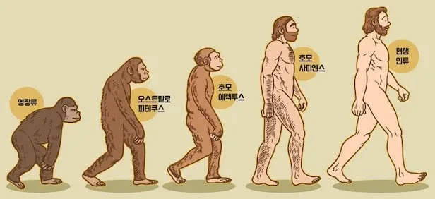 요즘 교과서에서 사라진 인류 진화 그림