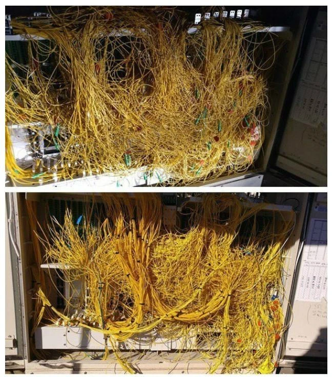 의외로 배우는데만 수년 걸린다는 일