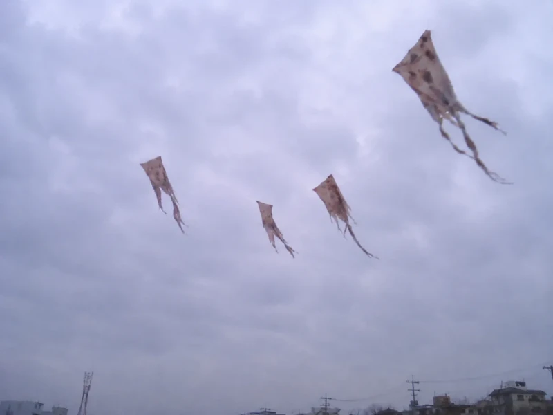한국인들은 별로 안무서운데 외국인들은 까무러치는 짤 모음-7
