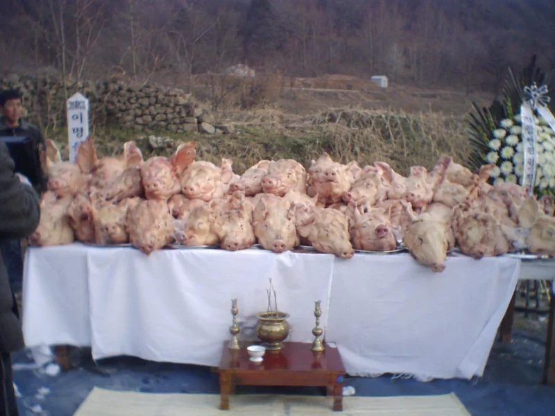 한국인들은 별로 안무서운데 외국인들은 까무러치는 짤 모음-11
