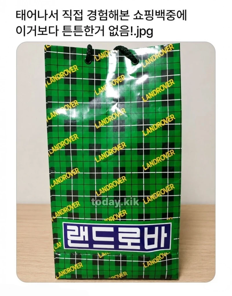태어나서 경험해 본 쇼핑백중에 이거보다 튼튼한거 없음
