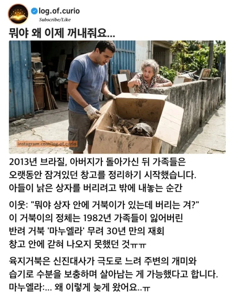 무려 30년 만에 산채로 발견 된 반려 거북이