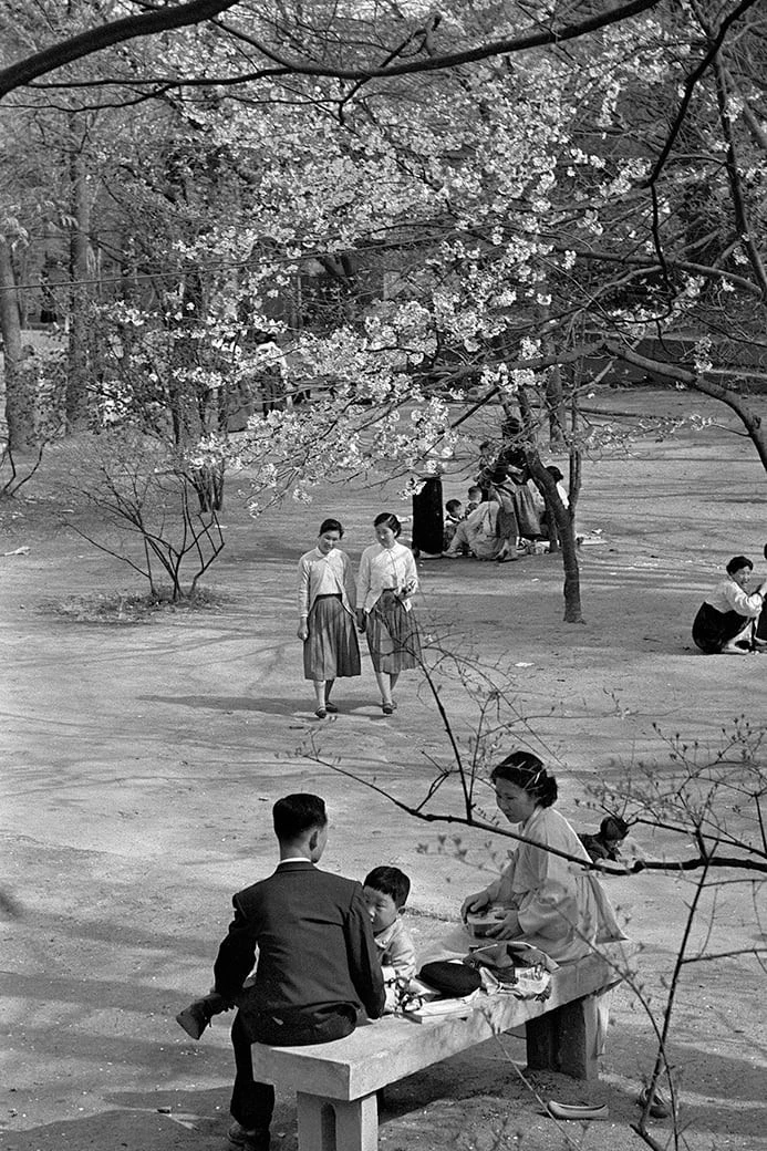 사진작가 한영수가 담은 1950~60년대 서울-9