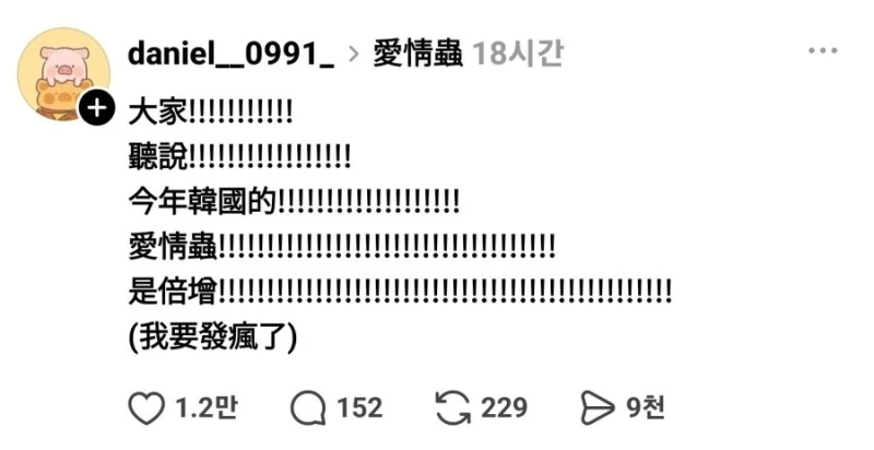 대만인들의 한국 러브버그에 대한 공포